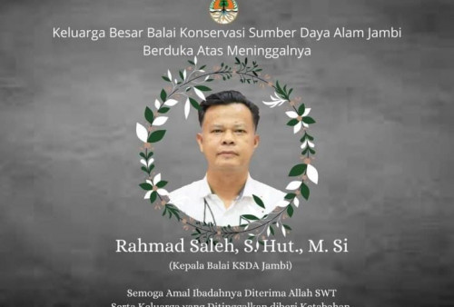 Kabar Duka, Kepala BKSDA Jambi Rahmad Saleh Meninggal Dunia di RSUD Raden Mattaher 