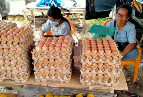 Sejak Harga Telur Naik, Pedagang di Bungo Sebut Daya Beli Masyarakat Turun