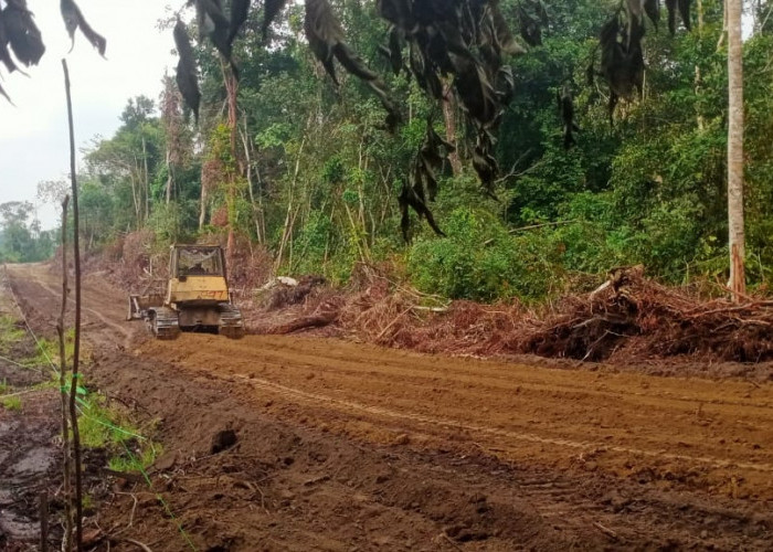 Satgas TMMD Terus Bekerja Keras Mengejar Progres Pembukaan Jalan di Desa Muaro Sebapo