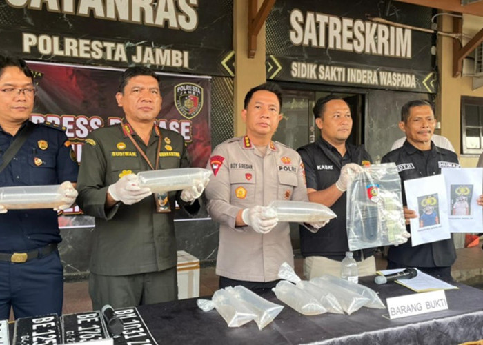 Wow! Hampir 48 Ribu Benih Lobster Ilegal Senilai Rp7,1 M Diamankan di Jambi, Diduga Jaringan Antar Provinsi