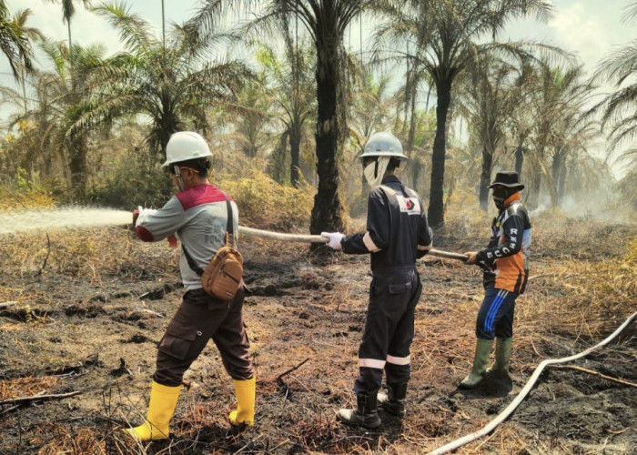 PetroChina Bantu Padamkan Karhutla di Jambi