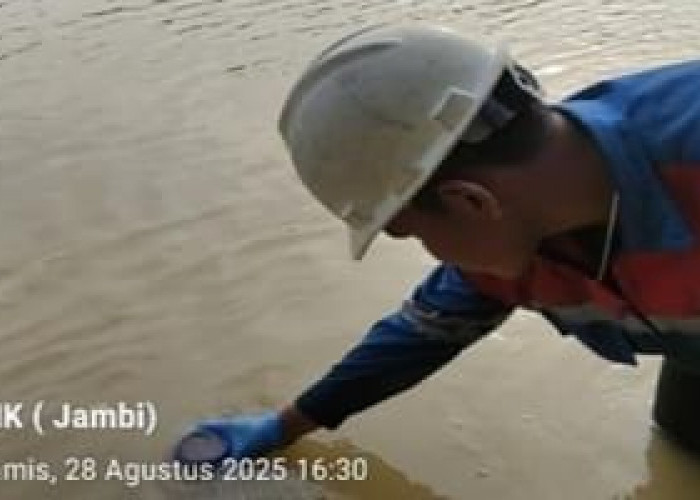 Waspada! Kandungan Bakteri Coli Air Sungai Batanghari di Tebo Melebihi Baku Mutu 