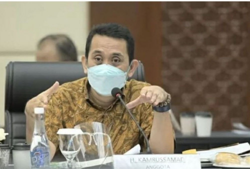 Jokowi Diminta Mewaspadai Saran IMF Oleh Dewan