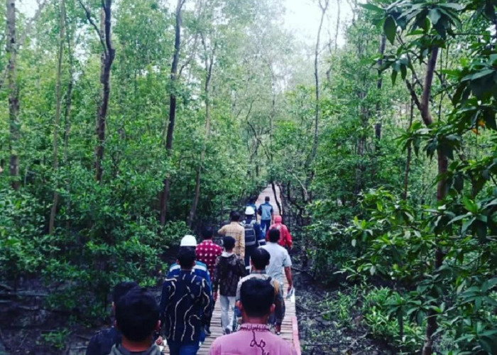 Pemuda Pesisir Pangkal Babu Apresiasi Penanaman Pohon Mangrove SKK Migas PetroChina International Jabung Ltd