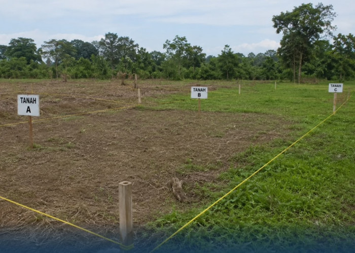 Kenali Prosedur dan Syarat Pemisahan Bidang Tanah dari Sertifikat Induk