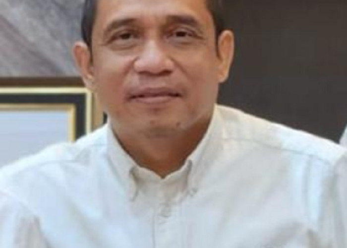 Jadi Kandidat Calon Ketua IKA FH UNSRI, Ini Dia Profil Ian Iskandar