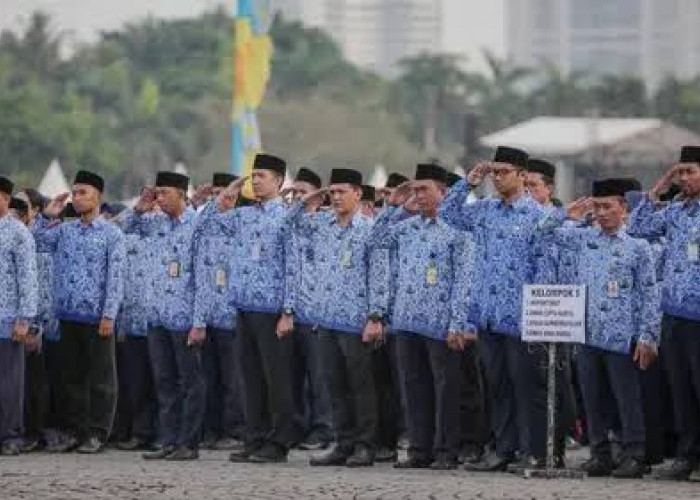 Wajib Anda Ketahui, Ini 5 Perbedaan CPNS dan PPPK 