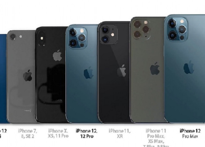 Unik dan Visioner! Jasa Rental iPhone Series Laris Manis Jelang Hari Raya