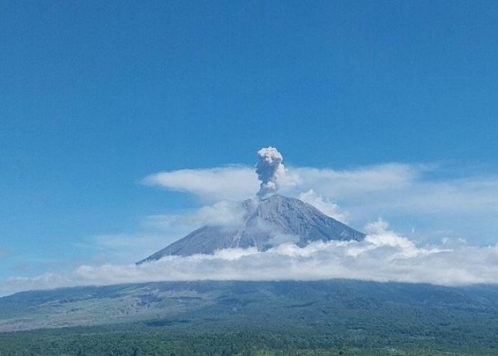 Enam Kali Erupsi, Letusan Kolom Abu Gunung Semeru Mencapai 1.000 Meter 