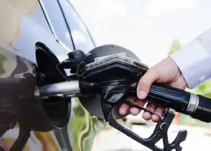  Jangan Asal Murah! Begini Cara Cerdas Memilih Mobil Bekas yang Irit Terbaik untuk Keluarga