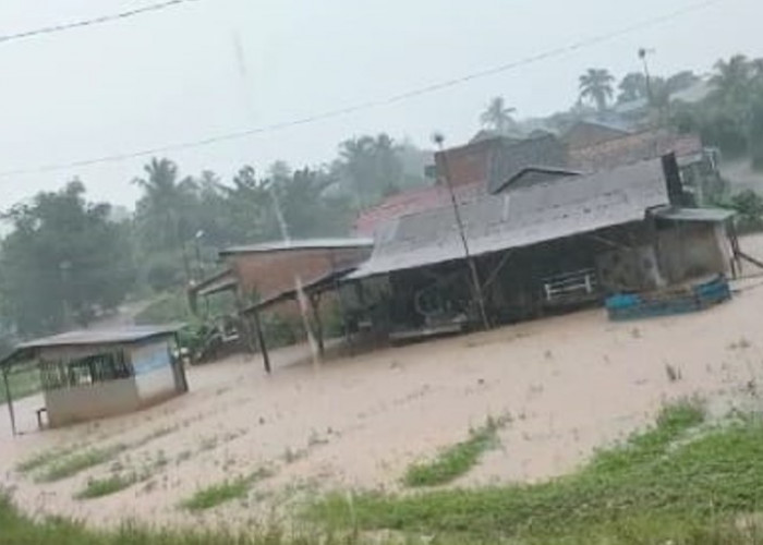 Kota Jambi Banjir Lagi, Kondisi Drainase Tak Layak