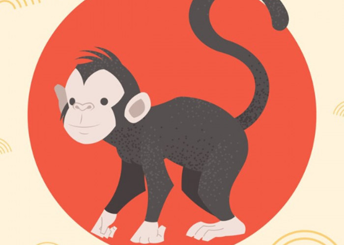 6 Faktor yang Membawa Keberuntungan bagi Shio Monyet 