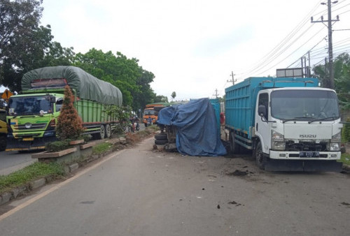 Simpang Rimbo Macet Panjang, Gara-Gara Mobil Batu Bara Terbalik