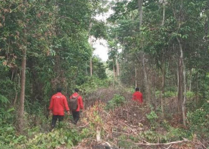 Kondisi Tahura di Kabupaten Batanghari Memprihatinkan, Ini Respon Dinas Kehutanan Provinsi Jambi 