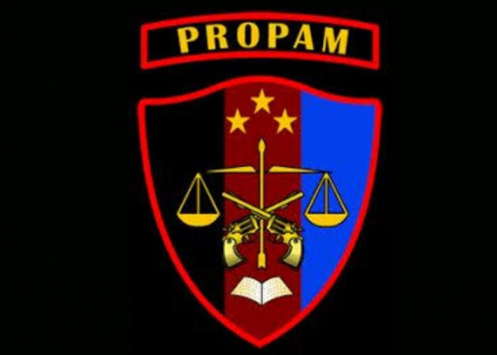 Propam Polda Jambi Turun Tangan, Soal ASN Polda Jambi Dituding Lakukan Pencabulan