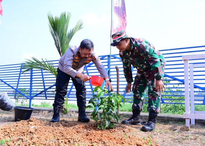 Polda Jambi Tanam Bambu dan Pohon Produktif, Kenapa Pilih Tanaman Bambu?