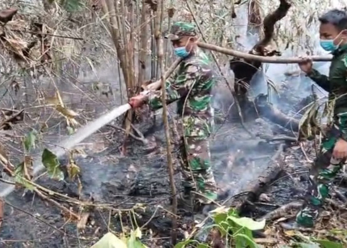 Karhutla Masuk Kawasan PT REKI di Batang Hari! Sekitar 30 Hektare Lahan Terbakar, Tim Gabungan Bergerak