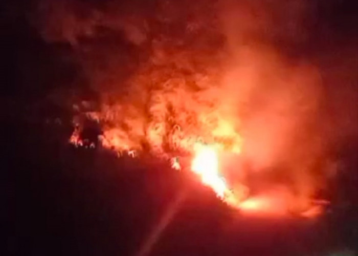 Waduh, Puluhan Hektare Lahan Terbakar di Dekat Perkantoran Bupati Tebo