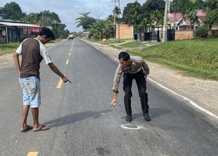 Mau ke Sekolah, Siswi SMP Tewas Digilas Truk di Mestong, Ini Kronologisnya