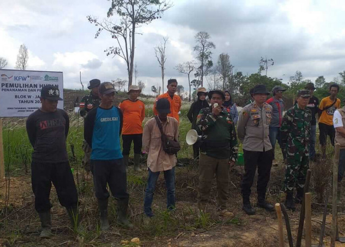 PT Reki Tanam 3000 Bibit Pohon di Bekas Lahan Karhutla