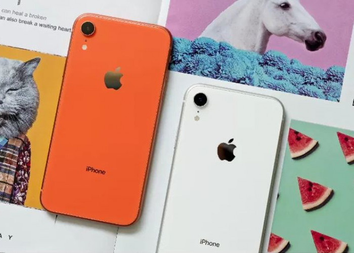 Meski Harganya Turun Jauh, iPhone XR di Tahun 2024 Masih Ramai Diminati