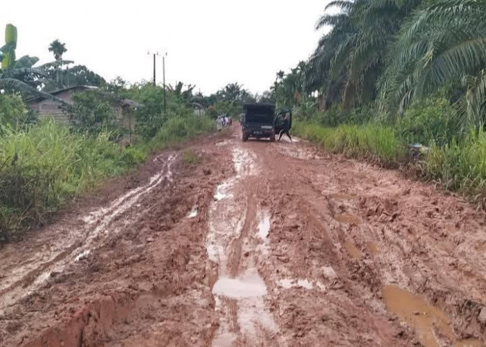 WAduh,  Jalan Provinsi di Kumpeh Muaro Jambi Rusak Berat, Warga Tagih Janji Gubernur Jambi