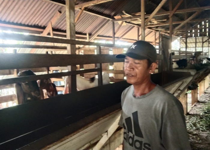 Kontribusi Nyata CSR SKK Migas PetroChina, Pemdes Terjun Gajah Beri Apresiasi