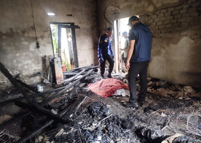 Rumah di Mendalo Asri Terbakar, Pemilik Tewas Diduga Akibat Korsleting Listrik
