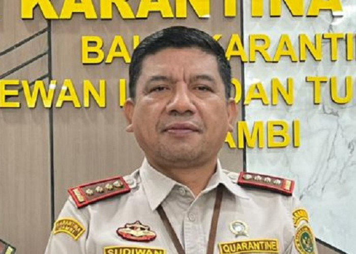 Jalur Ekspor ke Timur Tengah Terganggu, Pengusaha Jambi Ubah Strategi Pengiriman Pinang