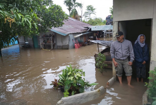 Hujan Deras Semalaman di Kota Jambi, Banjir di Talang Bakung Setinggi Leher Orang Dewasa