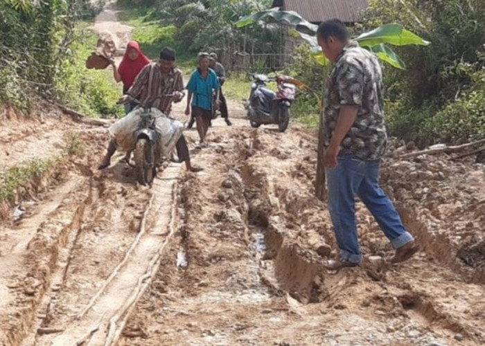 Warga Kampung Lebuh Keluhkan Jalan Rusak di Kabupaten Bungo yang Sudah Menahun