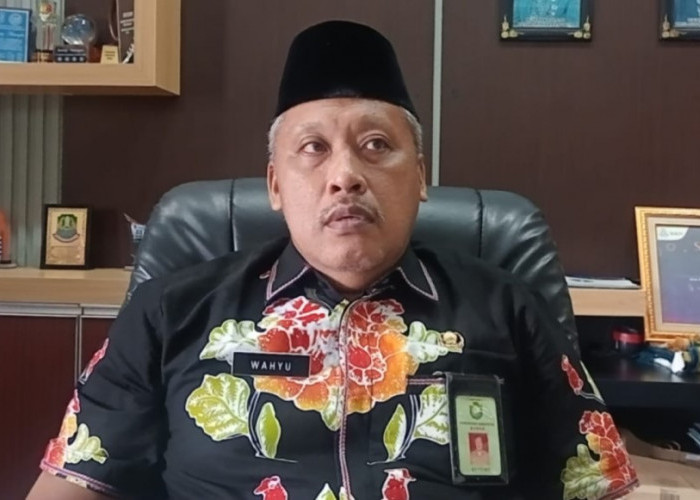 Cek Seleksi CPNS Bungo 2024 untuk 168 Formasi, Simak Jadwalnya di Sini