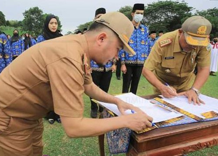 Sepi Peminat! Ini Formasi Kosong Pelamar di CPNS Pemkab Tanjab Timur