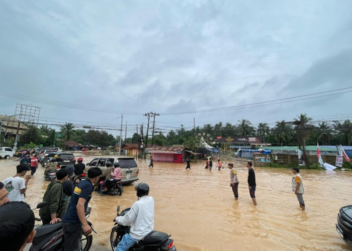 Ada 19 Titik Banjir di Kota Jambi, Ini Rekomendasi Perkumpulan Hijau untuk Pemerintah