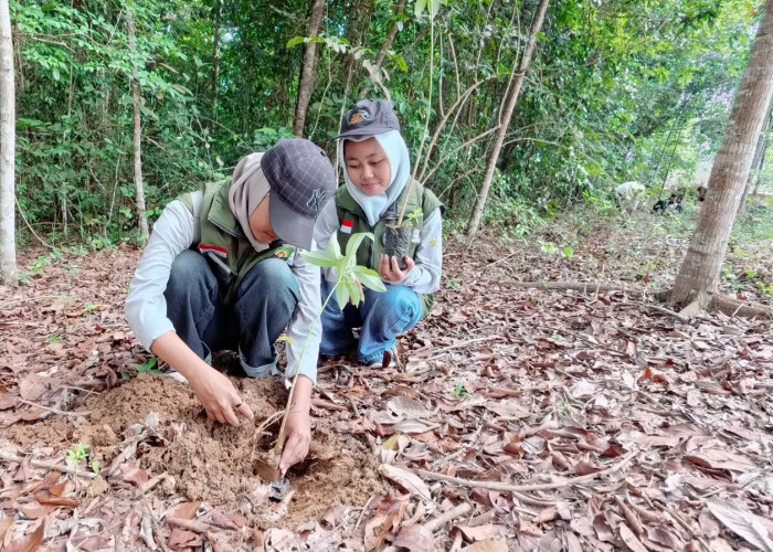 Jejakkan Aksi untuk Bumi, Sinsen Hijaukan Jambi dengan Penanaman Lebih dari 500 Bibit Pohon