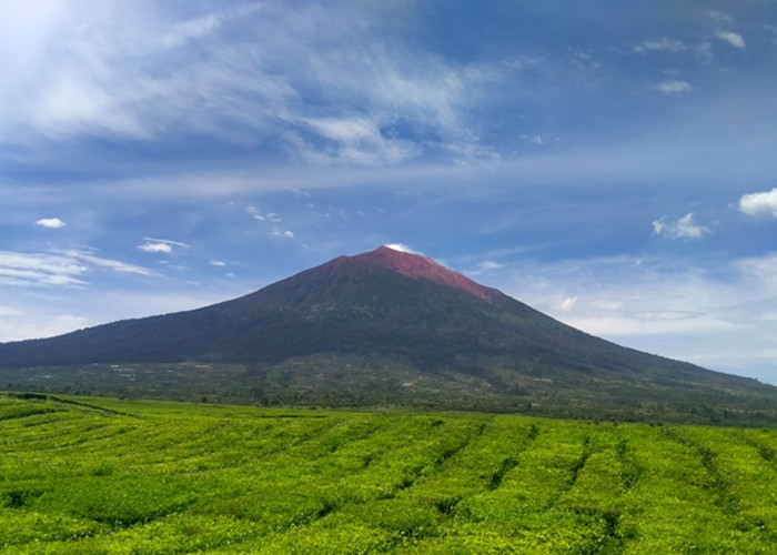 Pendaki Gunung Kerinci Alami Hipotermia di Shelter 2, Tim SAR Bergerak Lakukan Evakuasi