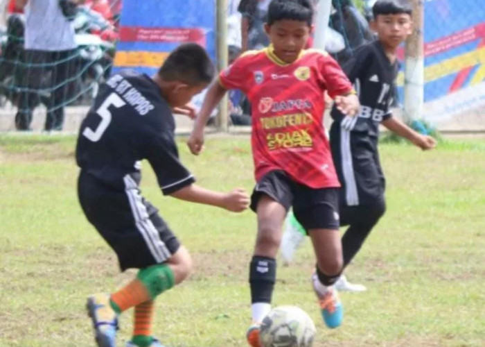 Turnamen Sepak Bola Usia Dini Padek Cup 2024 se-Sumbar, Riau dan Jambi Siap Digelar, Pendaftaran Telah Dibuka