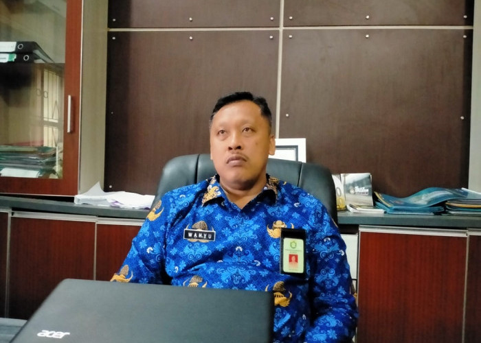 Begini Nasib Honorer di Kabupaten Bungo yang Tidak Lolos Seleksi PPPK