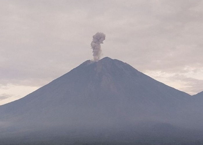 Gunung Semeru Erupsi 5 Kali Pagi Ini, Warga Diminta Waspada