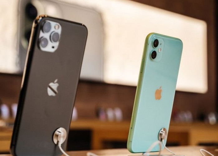 Stok Masih Ada, Cek Disini Harga Terbaru iPhone 11 di ibox Februari 2024
