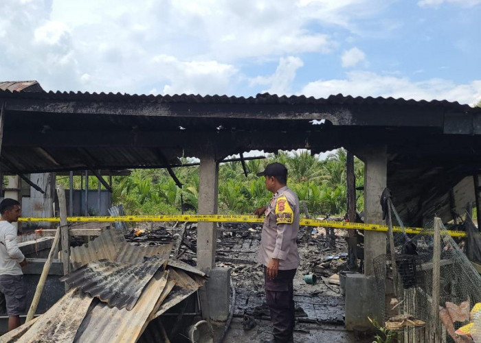 Ditinggal ke Kebun, Satu Unit Rumah di Kecamatan Muarasabak Timur Hangus Terbakar