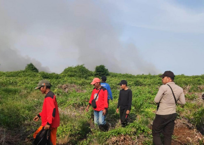 Kebakaran Lahan Terjadi di Sungai Itik Tanjab Timur, Pemadaman Gunakan Water Bombing