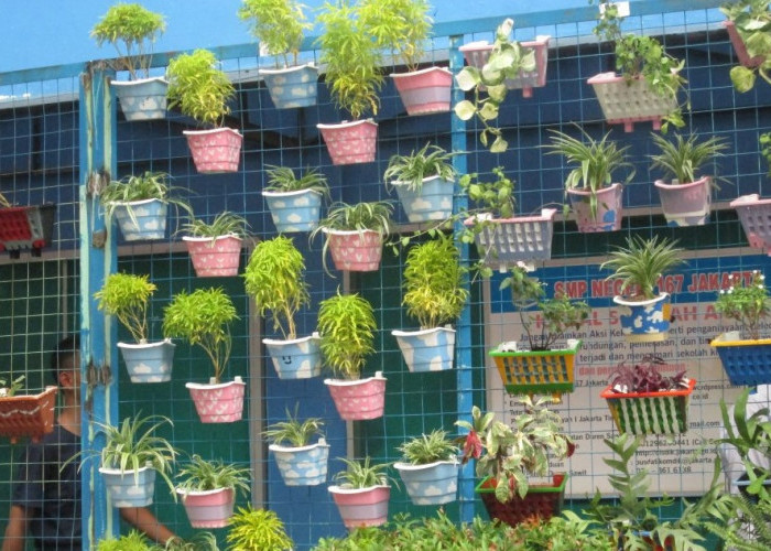 Bikin Betah di Rumah! Ini 9 Ide Taman Indoor Minimalis yang Ampuh Redakan Stres Sekaligus Perindah Hunian