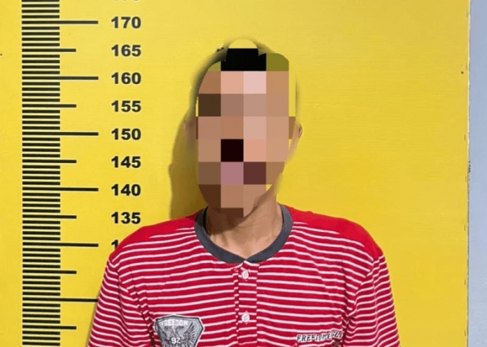 Kepergok Curi Sawit Perusahaan, Warga Bukit Peranginan Mandiangin Diamankan Polisi