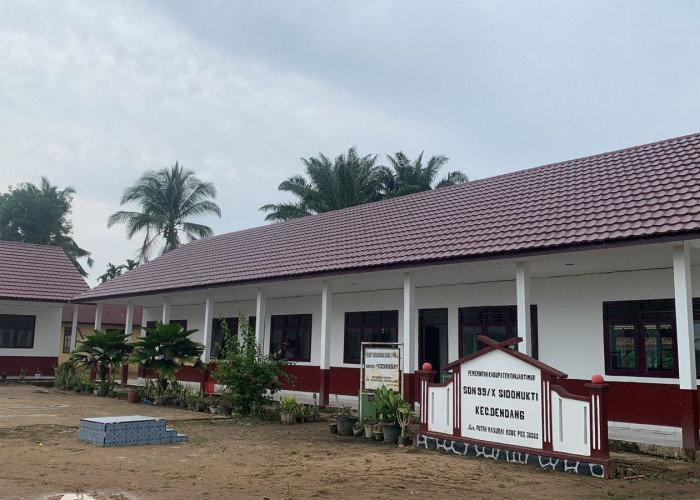 171 SD Butuh Perbaikan   Disdik Tanjabtim : Kuota Pengajuan ke Kementerian hanya 51 SD 