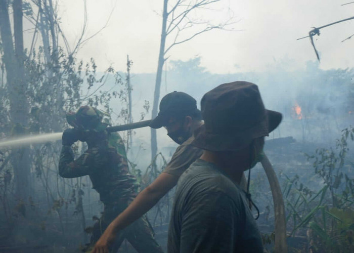 PT Reki Dukung Proses Penyidikan Terkait Karhutla di Hutan Harapan 
