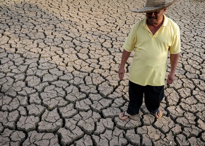 Serem! 32 Provinsi Ini Harus Waspada Kemarau Ekstrem Akibat El Nino, Apa yang Harus Dilakukan? 