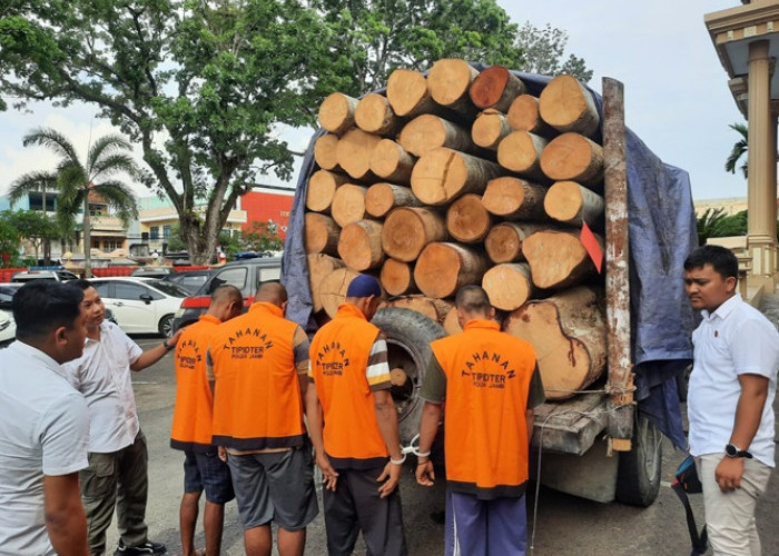 Kasus Ilegal Logging di Jambi, 4 Pelaku Coba Selundupkan Kayu Hutan, Nasibnya Kini di Tangan Polda Jambi