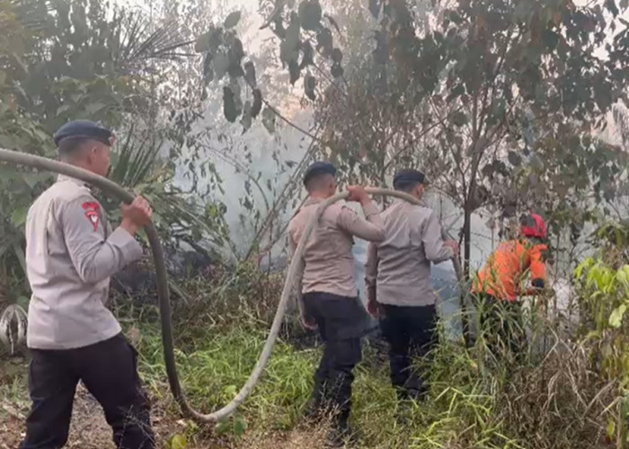 Karhutla di PT Jebus Seluas 5 Hektare, Polres Merangin dan Tim Gabungan Lakukan Pemadaman