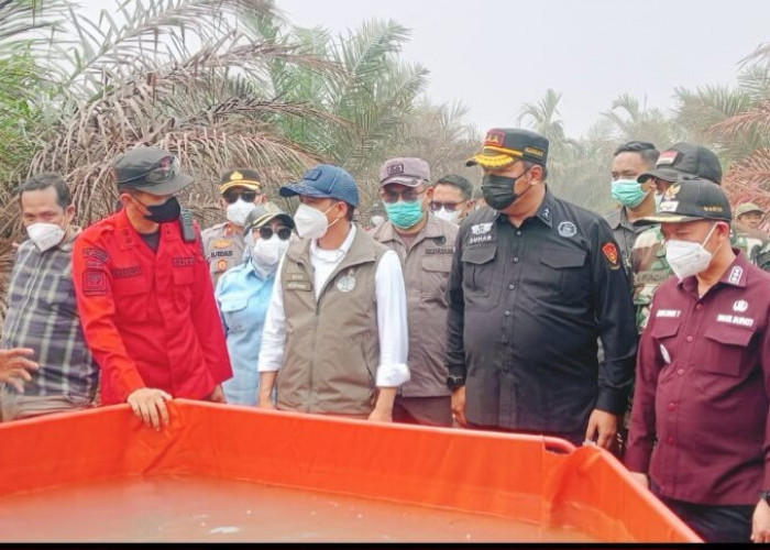 Wakil Bupati Tanjab Timur Dampingi Menteri Kehutanan Tinjau Lokasi Karhutla di Desa Pandan Sejahtera Geragai